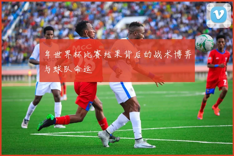 年世界杯比赛结果背后的战术博弈与球队命运