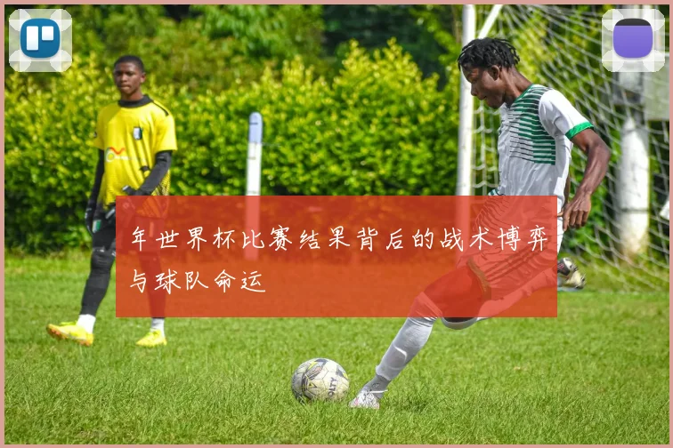年世界杯比赛结果背后的战术博弈与球队命运