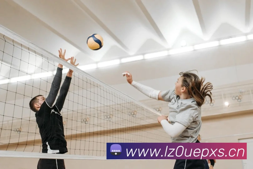 开云手机入口官网平台生态图