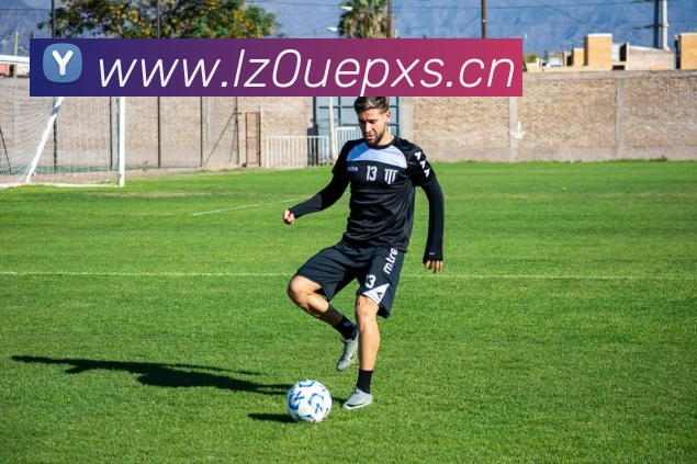 开云手机入口官网全站App